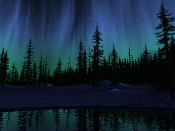 (z) aurora over coniferous forest